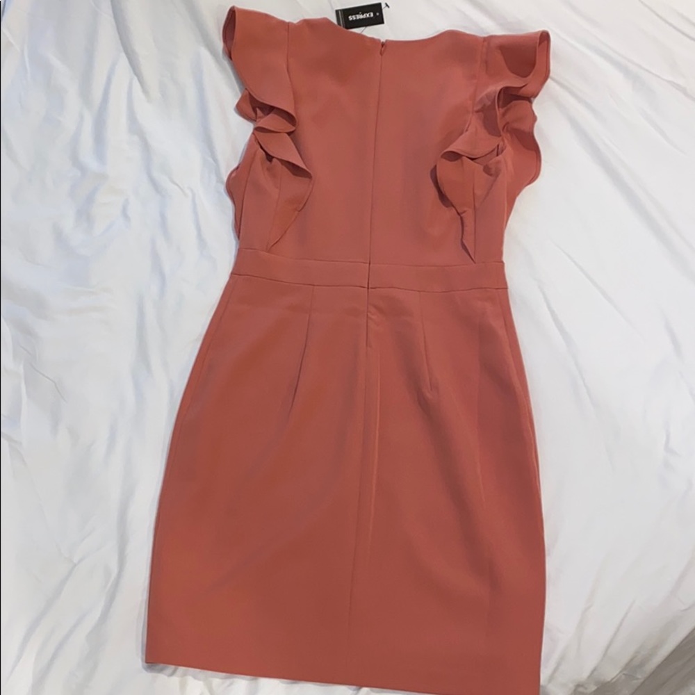 Express Dress - Picture 4 of 4